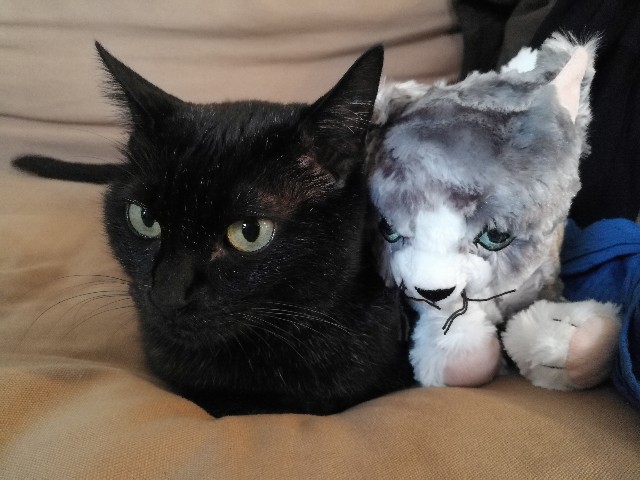 f:id:hiraryo0201:20171015091336j:image