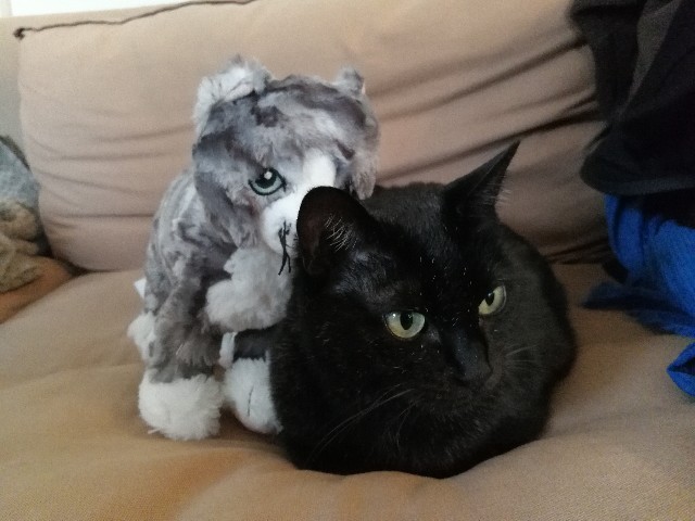 f:id:hiraryo0201:20171015091511j:image