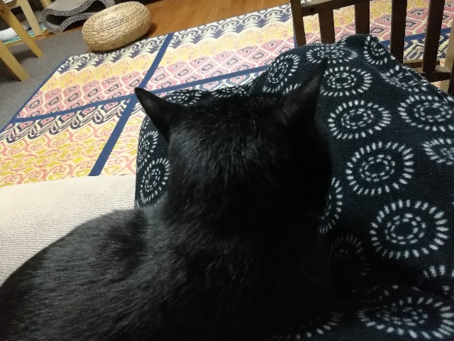 f:id:hiraryo0201:20171019190210j:image f:id:hiraryo0201:20171019190210j:image