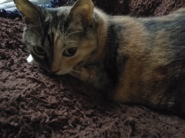 f:id:hiraryo0201:20171020111340j:image f:id:hiraryo0201:20171020111340j:image