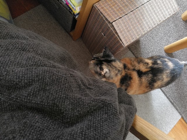 f:id:hiraryo0201:20171020111605j:image f:id:hiraryo0201:20171020111605j:image