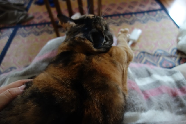 f:id:hiraryo0201:20171021182539j:plain f:id:hiraryo0201:20171021182539j:plain