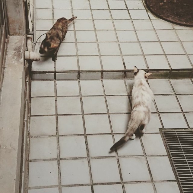 f:id:hiraryo0201:20171028184051j:image