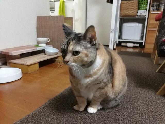 f:id:hiraryo0201:20171103191711j:image