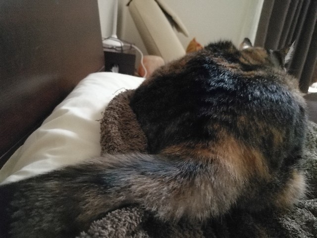 f:id:hiraryo0201:20171104160428j:image f:id:hiraryo0201:20171104160428j:image