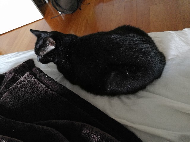 f:id:hiraryo0201:20171104160446j:image f:id:hiraryo0201:20171104160446j:image