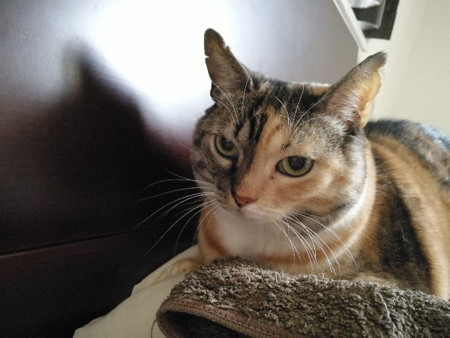 f:id:hiraryo0201:20171104160502j:image f:id:hiraryo0201:20171104160502j:image