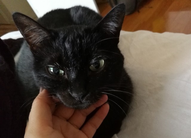 f:id:hiraryo0201:20171104160548j:image f:id:hiraryo0201:20171104160548j:image