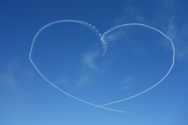 f:id:hiraryo0201:20171104161817j:plain f:id:hiraryo0201:20171104161817j:plain