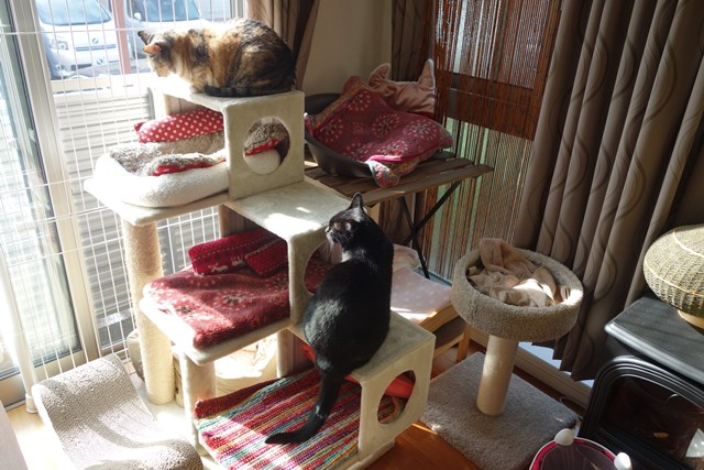 f:id:hiraryo0201:20171104170007j:plain