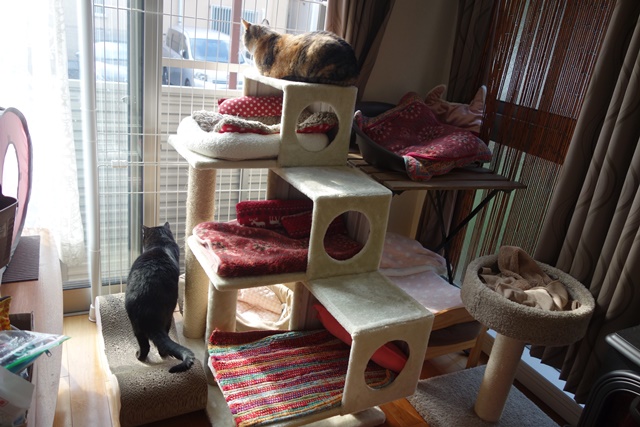 f:id:hiraryo0201:20171104170618j:plain f:id:hiraryo0201:20171104170618j:plain