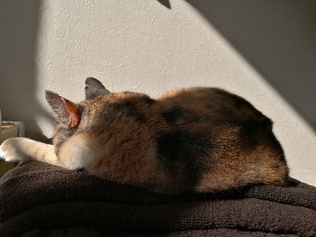 f:id:hiraryo0201:20171105092317j:image f:id:hiraryo0201:20171105092317j:image