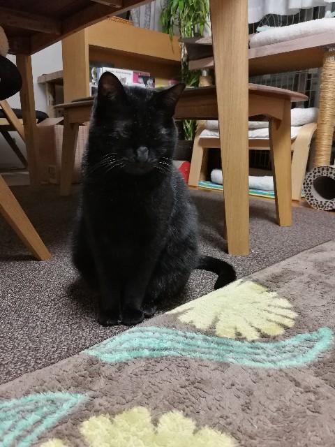 f:id:hiraryo0201:20171113124503j:image