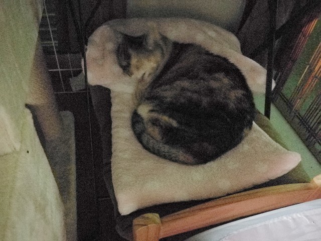 f:id:hiraryo0201:20171113124632j:image