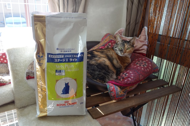 f:id:hiraryo0201:20171113211700j:plain f:id:hiraryo0201:20171113211700j:plain