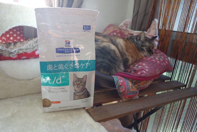 f:id:hiraryo0201:20171113211727j:plain f:id:hiraryo0201:20171113211727j:plain