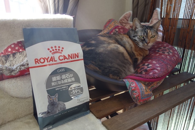 f:id:hiraryo0201:20171113211733j:plain f:id:hiraryo0201:20171113211733j:plain