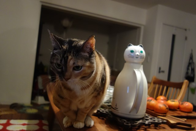 f:id:hiraryo0201:20171113211936j:plain