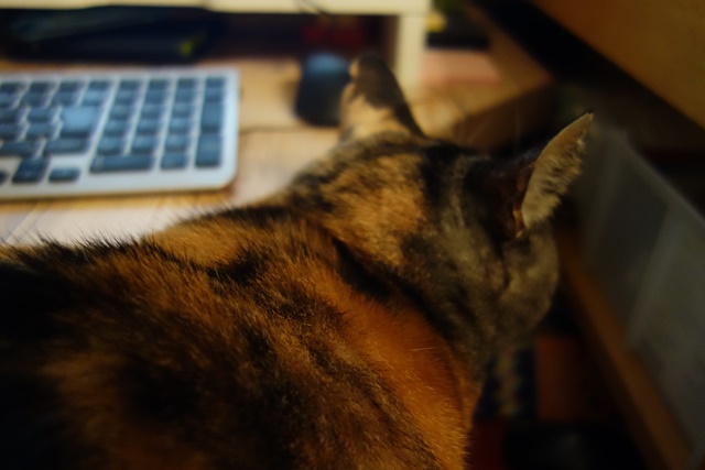 f:id:hiraryo0201:20171113211953j:plain