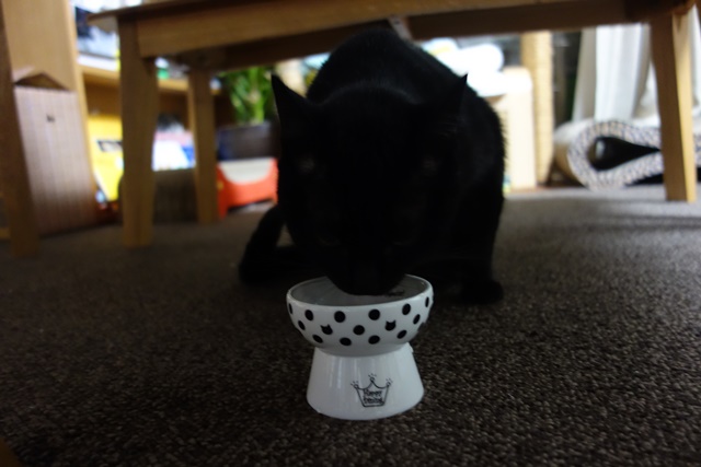 f:id:hiraryo0201:20171113213110j:plain