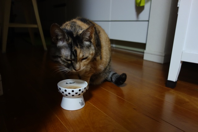 f:id:hiraryo0201:20171113213122j:plain