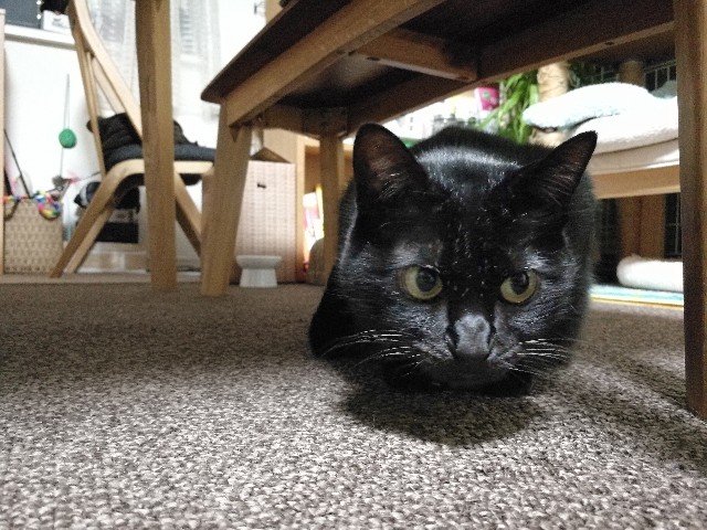 f:id:hiraryo0201:20171121080546j:image f:id:hiraryo0201:20171121080546j:image