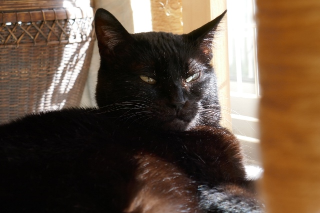 f:id:hiraryo0201:20171127222304j:plain f:id:hiraryo0201:20171127222304j:plain