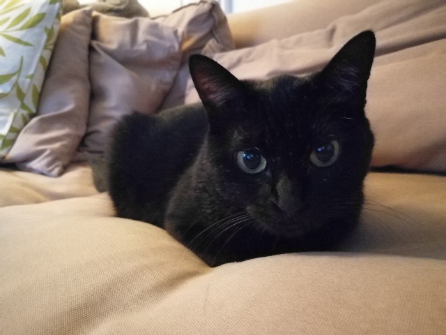 f:id:hiraryo0201:20171128121822j:image f:id:hiraryo0201:20171128121822j:image