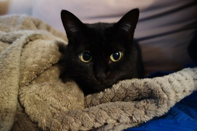 f:id:hiraryo0201:20171128121959j:image f:id:hiraryo0201:20171128121959j:image