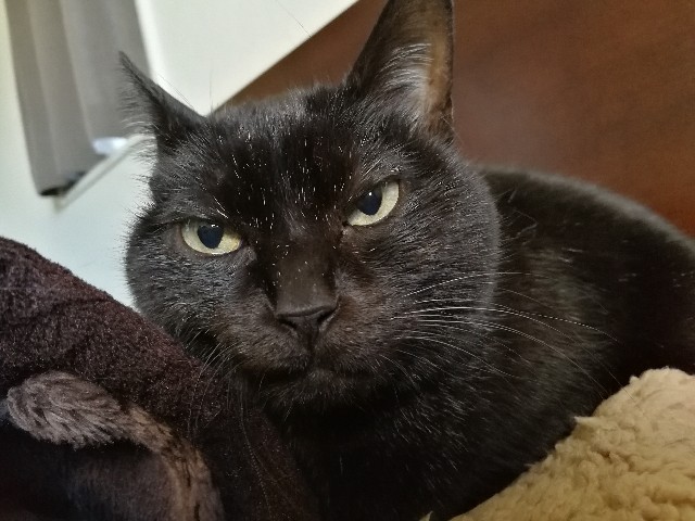 f:id:hiraryo0201:20171128122057j:image f:id:hiraryo0201:20171128122057j:image