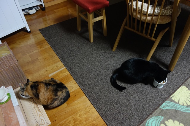 f:id:hiraryo0201:20171203154710j:plain f:id:hiraryo0201:20171203154710j:plain