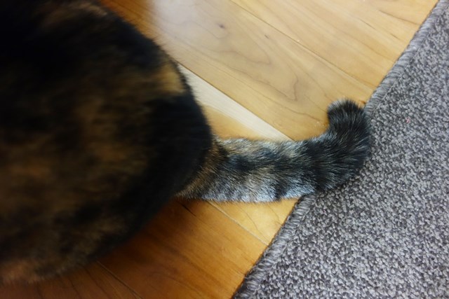 f:id:hiraryo0201:20171203154951j:plain f:id:hiraryo0201:20171203154951j:plain