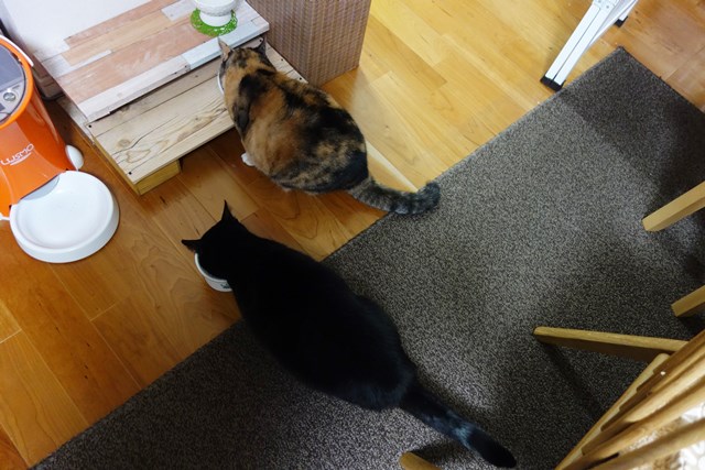 f:id:hiraryo0201:20171203155123j:plain f:id:hiraryo0201:20171203155123j:plain