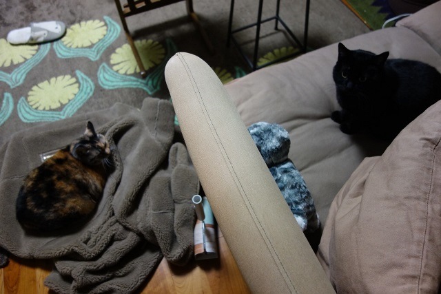 f:id:hiraryo0201:20171203164728j:plain f:id:hiraryo0201:20171203164728j:plain