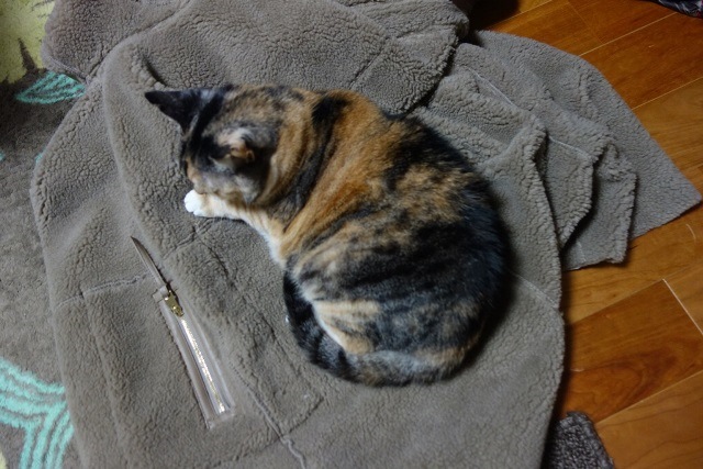 f:id:hiraryo0201:20171203165025j:plain f:id:hiraryo0201:20171203165025j:plain