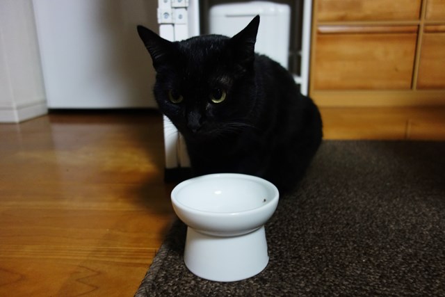 f:id:hiraryo0201:20171203165851j:plain f:id:hiraryo0201:20171203165851j:plain