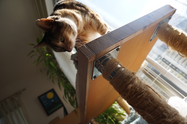 f:id:hiraryo0201:20171205225533j:plain