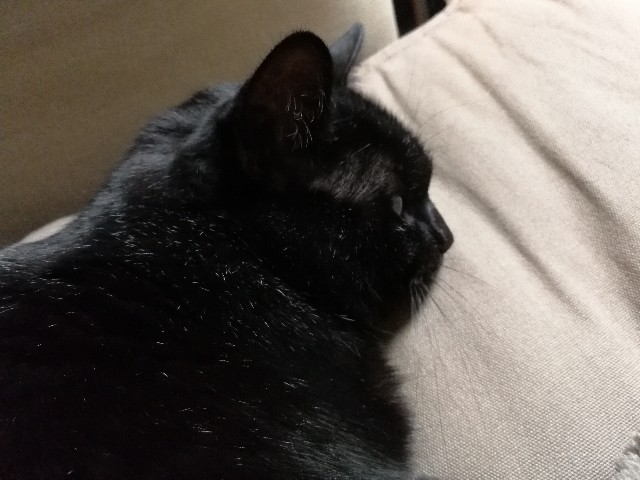 f:id:hiraryo0201:20171206205526j:image