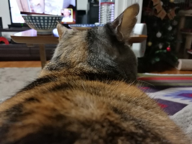 f:id:hiraryo0201:20171206205543j:image