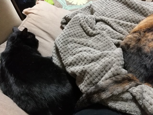 f:id:hiraryo0201:20171206205741j:image