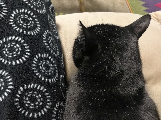 f:id:hiraryo0201:20171217100323j:image