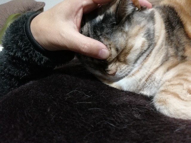 f:id:hiraryo0201:20171223080650j:image f:id:hiraryo0201:20171223080650j:image