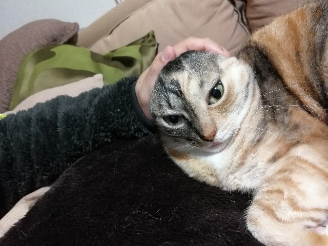 f:id:hiraryo0201:20171223080729j:image f:id:hiraryo0201:20171223080729j:image