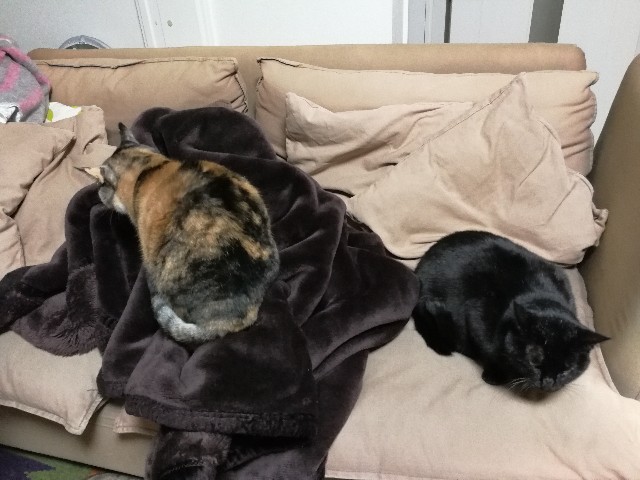 f:id:hiraryo0201:20171223080745j:image f:id:hiraryo0201:20171223080745j:image