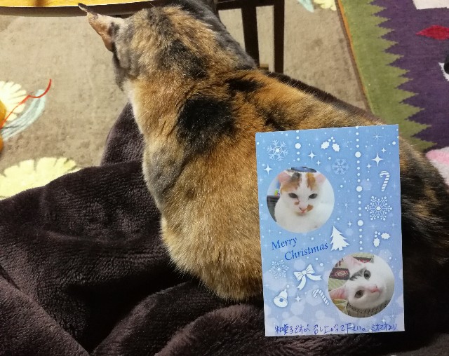 f:id:hiraryo0201:20171223081242j:image f:id:hiraryo0201:20171223081242j:image