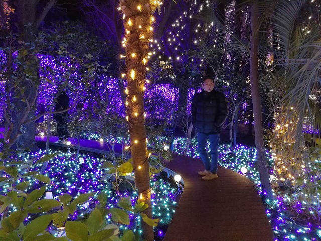 f:id:hiraryo0201:20171224105545j:plain