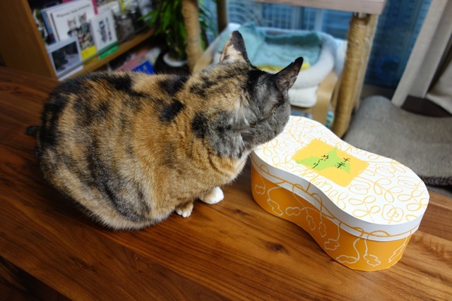 f:id:hiraryo0201:20171224110236j:plain f:id:hiraryo0201:20171224110236j:plain