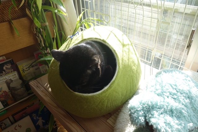 f:id:hiraryo0201:20171224114856j:plain f:id:hiraryo0201:20171224114856j:plain