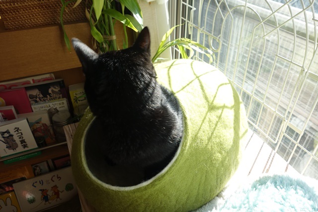 f:id:hiraryo0201:20171224114917j:plain f:id:hiraryo0201:20171224114917j:plain