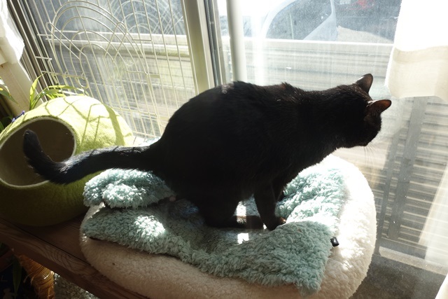 f:id:hiraryo0201:20171224114925j:plain f:id:hiraryo0201:20171224114925j:plain